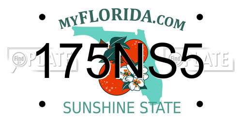 175NS5 Florida License Plate