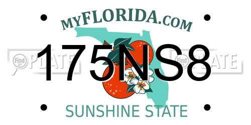 175NS8 Florida License Plate