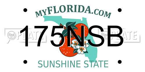 175NSB Florida License Plate