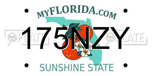 175NZY Florida License Plate