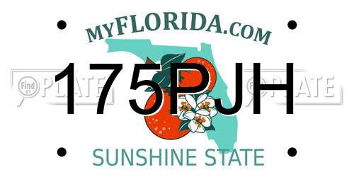 175PJH Florida License Plate