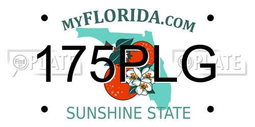 175PLG Florida License Plate