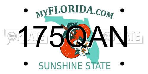 175QAN Florida License Plate
