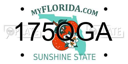 175QGA Florida License Plate