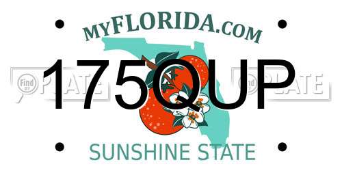 175QUP Florida License Plate