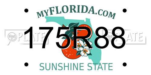 175R88 Florida License Plate