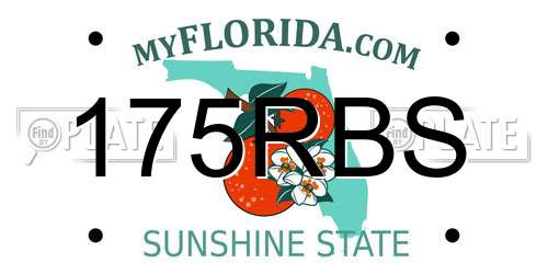 175RBS Florida License Plate