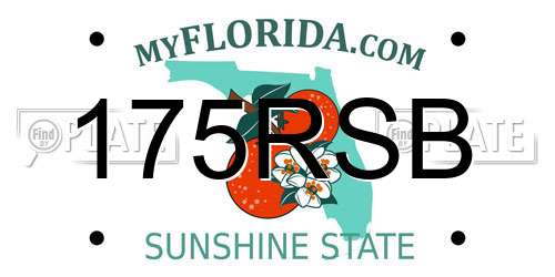 175RSB Florida License Plate