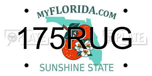 175RUG Florida License Plate