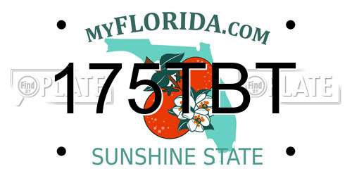 175TBT Florida License Plate