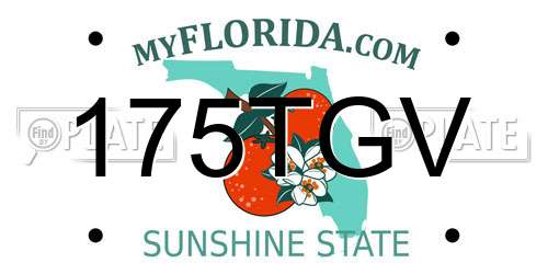 175TGV Florida License Plate