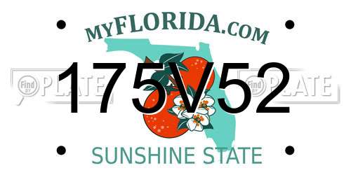 175V52 Florida License Plate