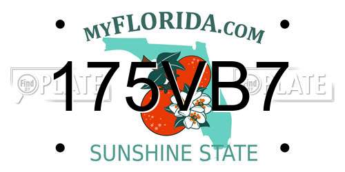 175VB7 Florida License Plate