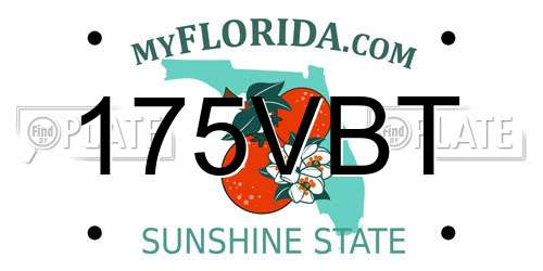 175VBT Florida License Plate