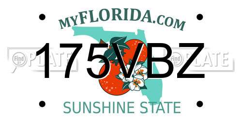175VBZ Florida License Plate
