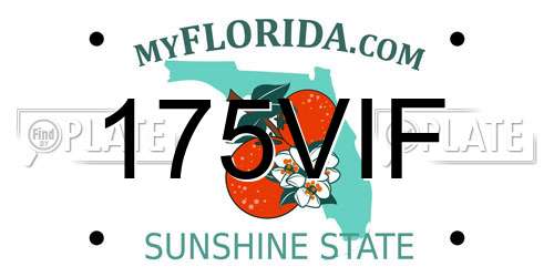 175VIF Florida License Plate