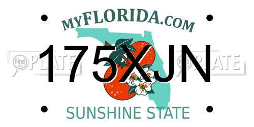 175XJN Florida License Plate