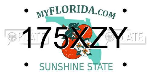 175XZY Florida License Plate