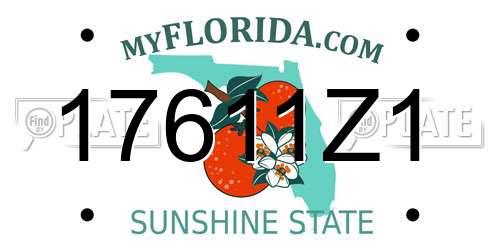 17611Z1 Florida License Plate