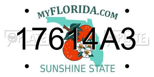 17614A3 Florida License Plate