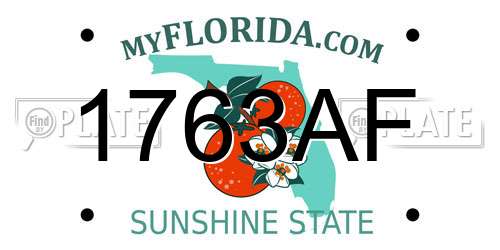 1763AF Florida License Plate
