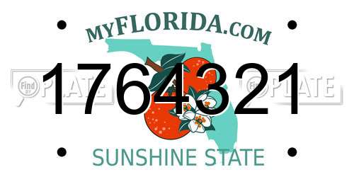 1764321 Florida License Plate