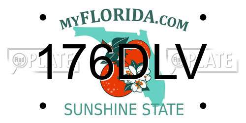 176DLV Florida License Plate