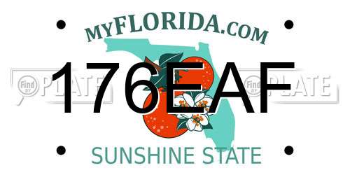 176EAF Florida License Plate