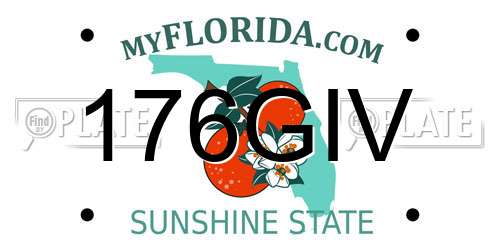 176GIV Florida License Plate