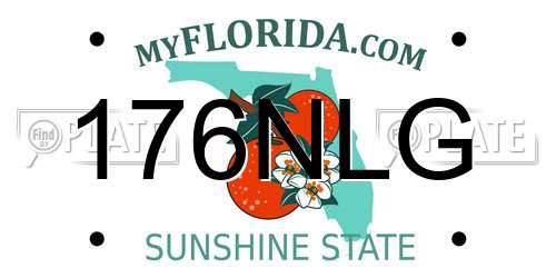 176NLG Florida License Plate