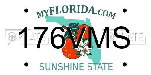 176VMS Florida License Plate