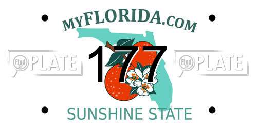 177 Florida License Plate