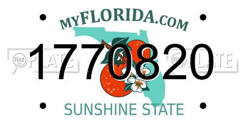 1770820 Florida License Plate