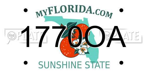 1770OA Florida License Plate