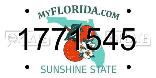1771545 Florida License Plate