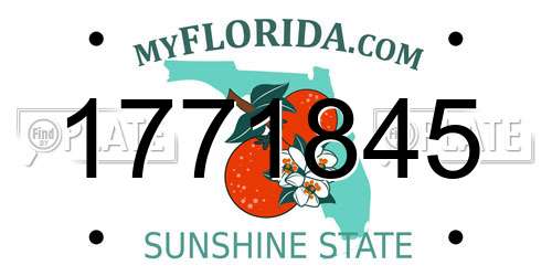 1771845 Florida License Plate