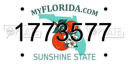 1773577 Florida License Plate