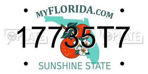 17735T7 Florida License Plate