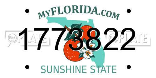 1773822 Florida License Plate