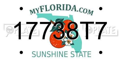 17738T7 Florida License Plate