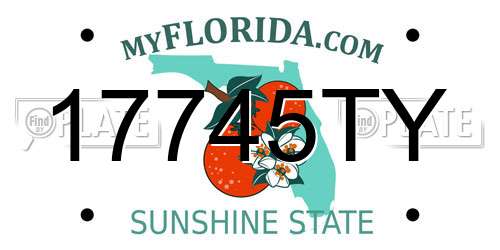 17745TY Florida License Plate