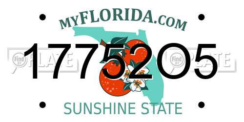 17752O5 Florida License Plate
