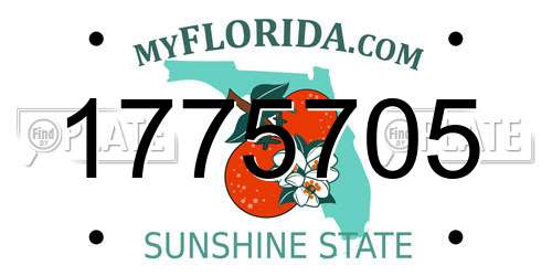 1775705 Florida License Plate