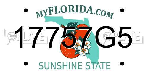 17757G5 Florida License Plate