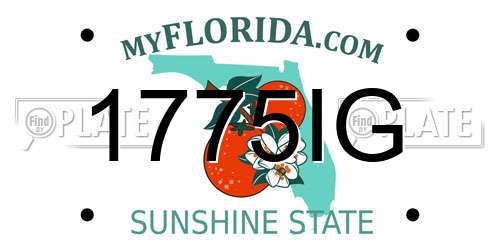 1775IG Florida License Plate
