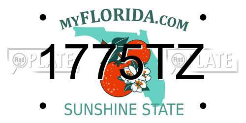 1775TZ Florida License Plate