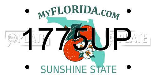 1775UP Florida License Plate