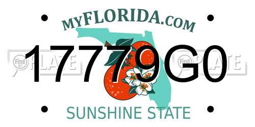 17779G0 Florida License Plate