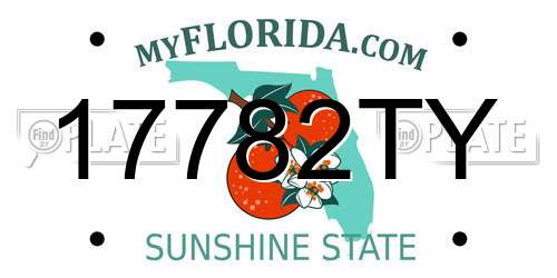 17782TY Florida License Plate