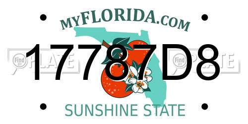 17787D8 Florida License Plate